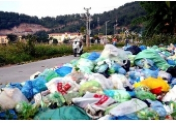 Tác hại của túi nilon đến môi trường và sức khỏe con người