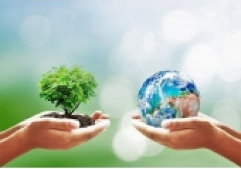 10 Cách Đơn Giản để Bảo Vệ Môi Trường Hàng Ngày