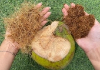 Một số cách bảo quản máy xơ dừa